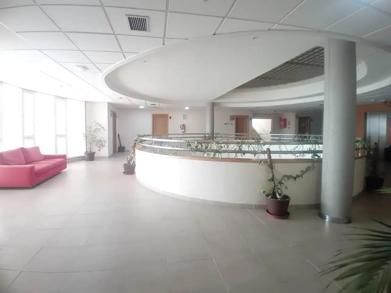 Büro zum Verkauf in El Ejido Ciudad