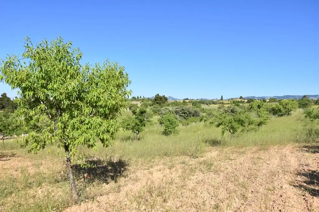 Terreni e lotti in vendita a Valderrobres