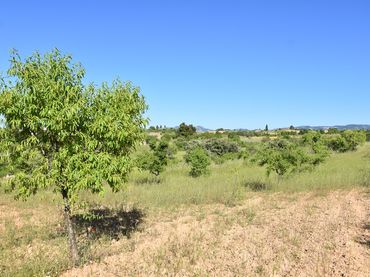 Terreno rustico in vendita a Valderrobres