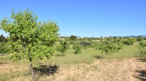 Finca rústica en Valderrobres