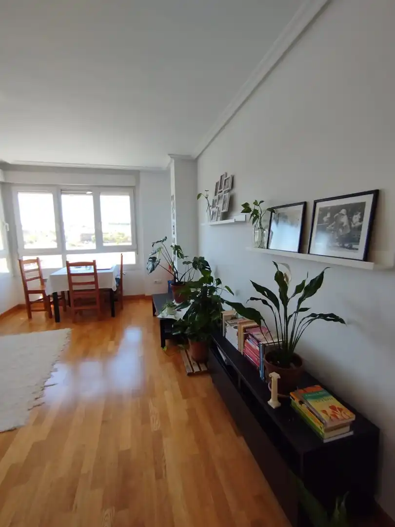 Sala d'estar de Pis en venda en Ávila amb Calefacció, Terrassa i Traster
