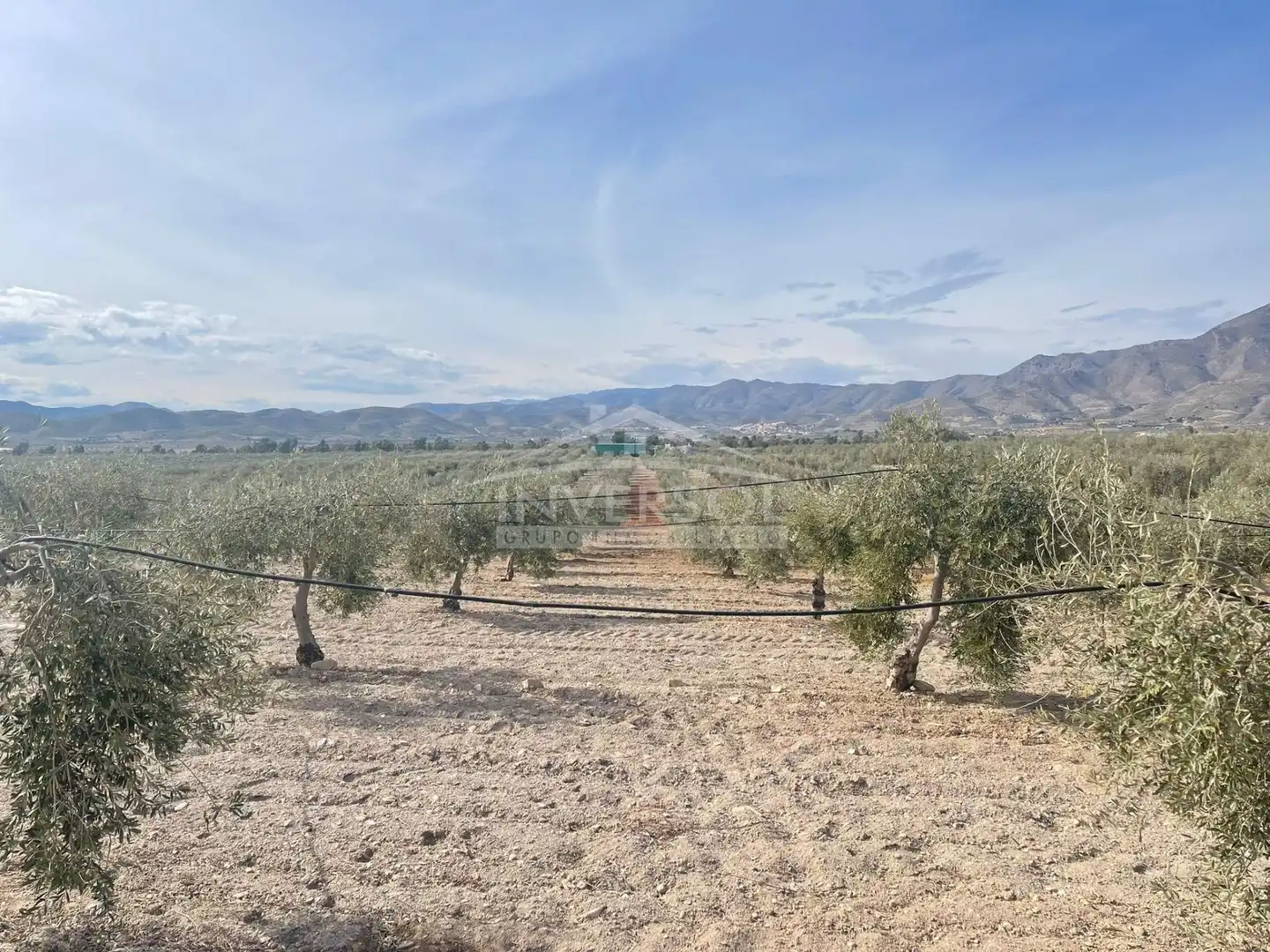 Terreno en venta en Uleila del Campo