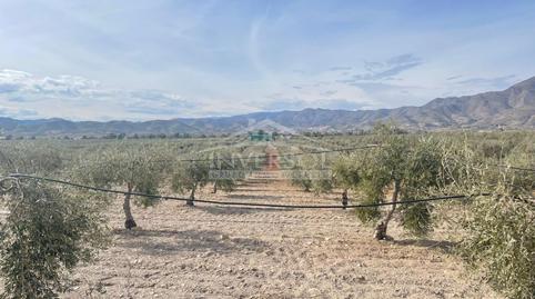 Foto 5 von Grundstücke zum Verkauf in Calle Monteagud, 3, Uleila del Campo, Almería