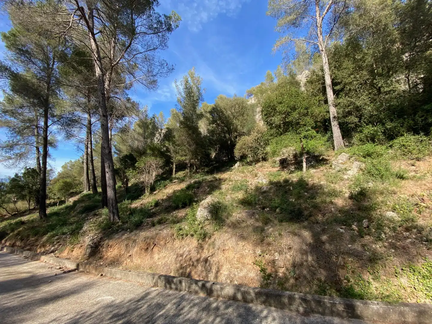 Terreny residencial en venda a Corbera de Llobregat, imagen 3