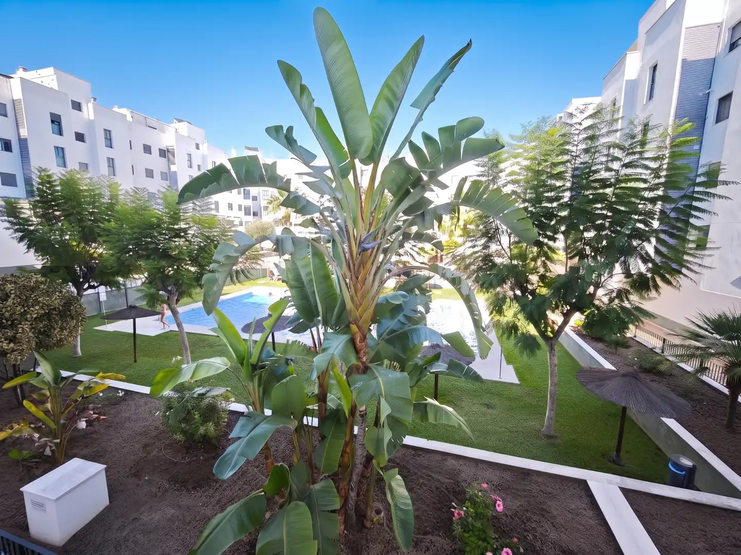 Garten von Wohnung zur Miete in Ctra Sanlúcar - Cuatro Pinos