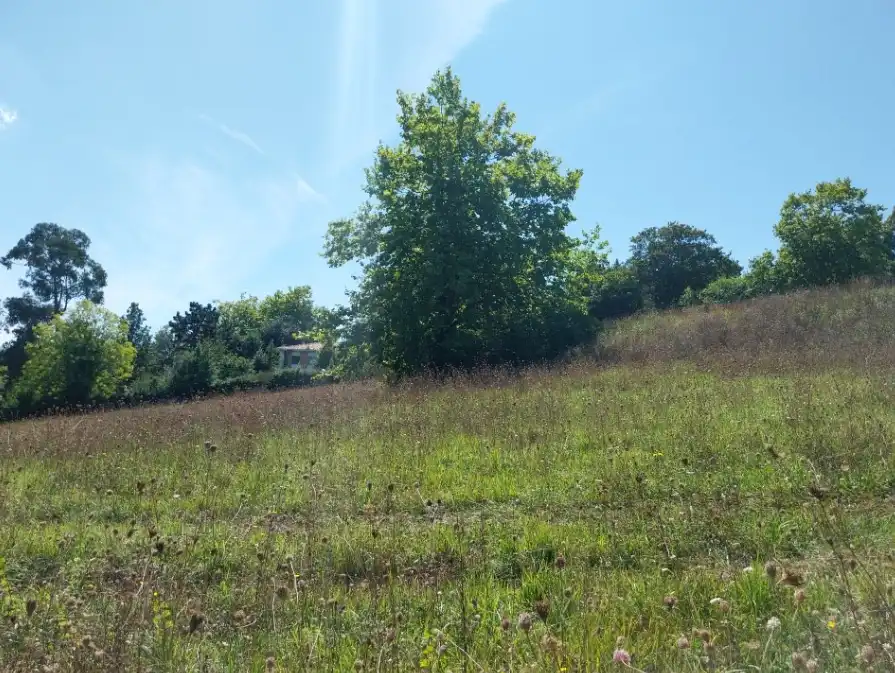 Terrenos y solares en venta en Cotaron, imagen 5