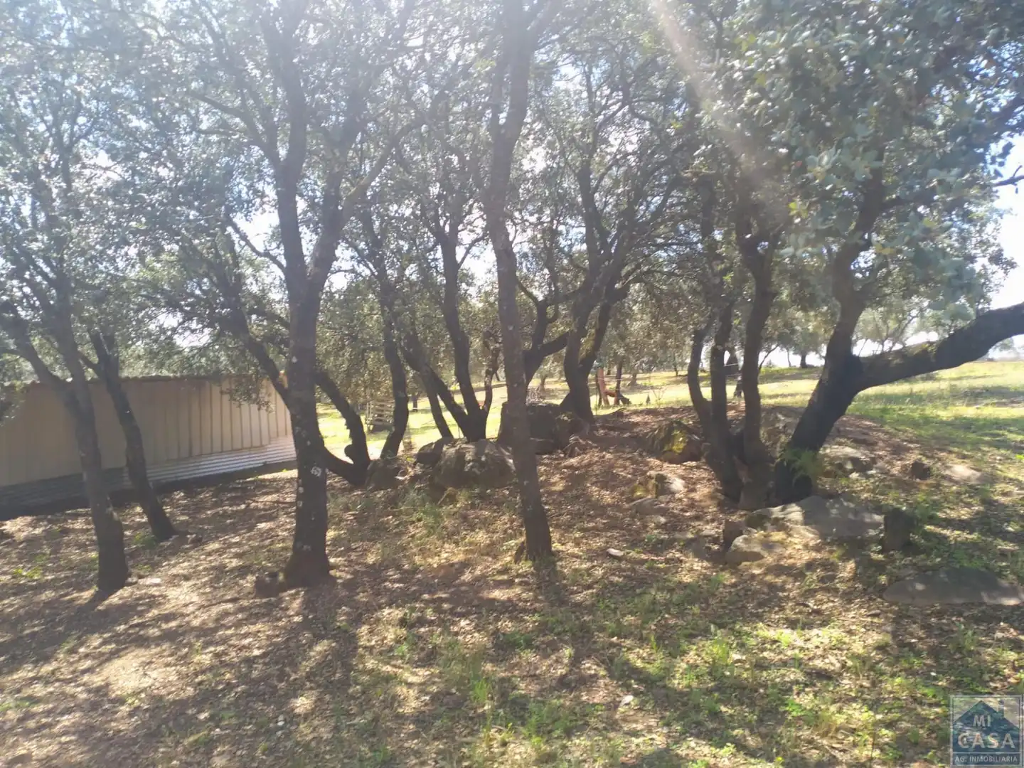 Casa o chalet en venta en Aljucén