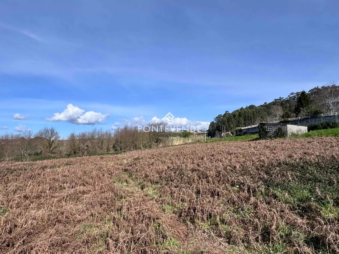 Terreno rustico in vendita a Marín, imagen 6