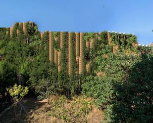 Jardí de Residencial en venda en Alcarràs