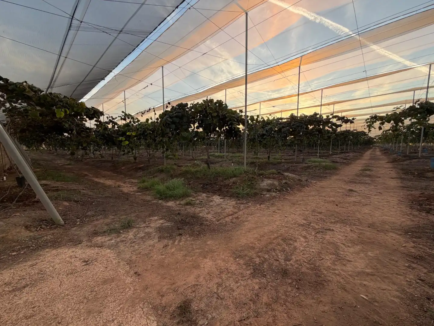 Finca rústica en venda en Urbanizaciones  