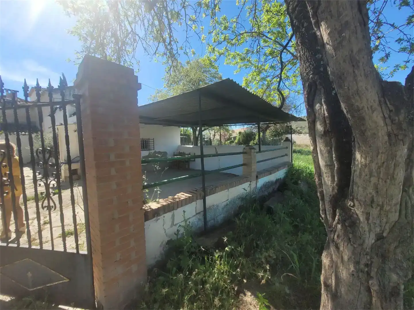 Vista exterior de Finca rústica en venda en Ronda amb Piscina