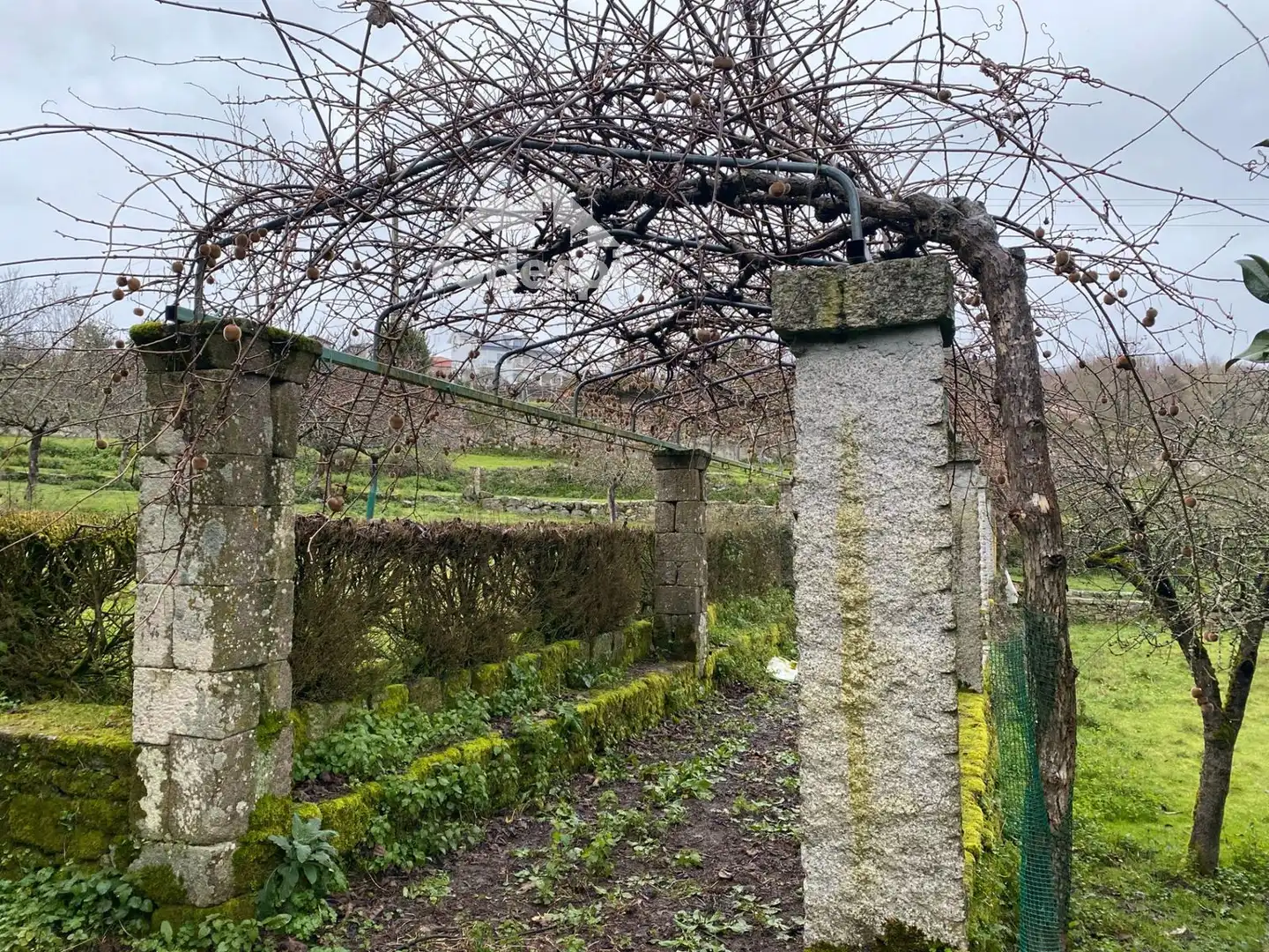 Garden of Buildings for sale in Pantón