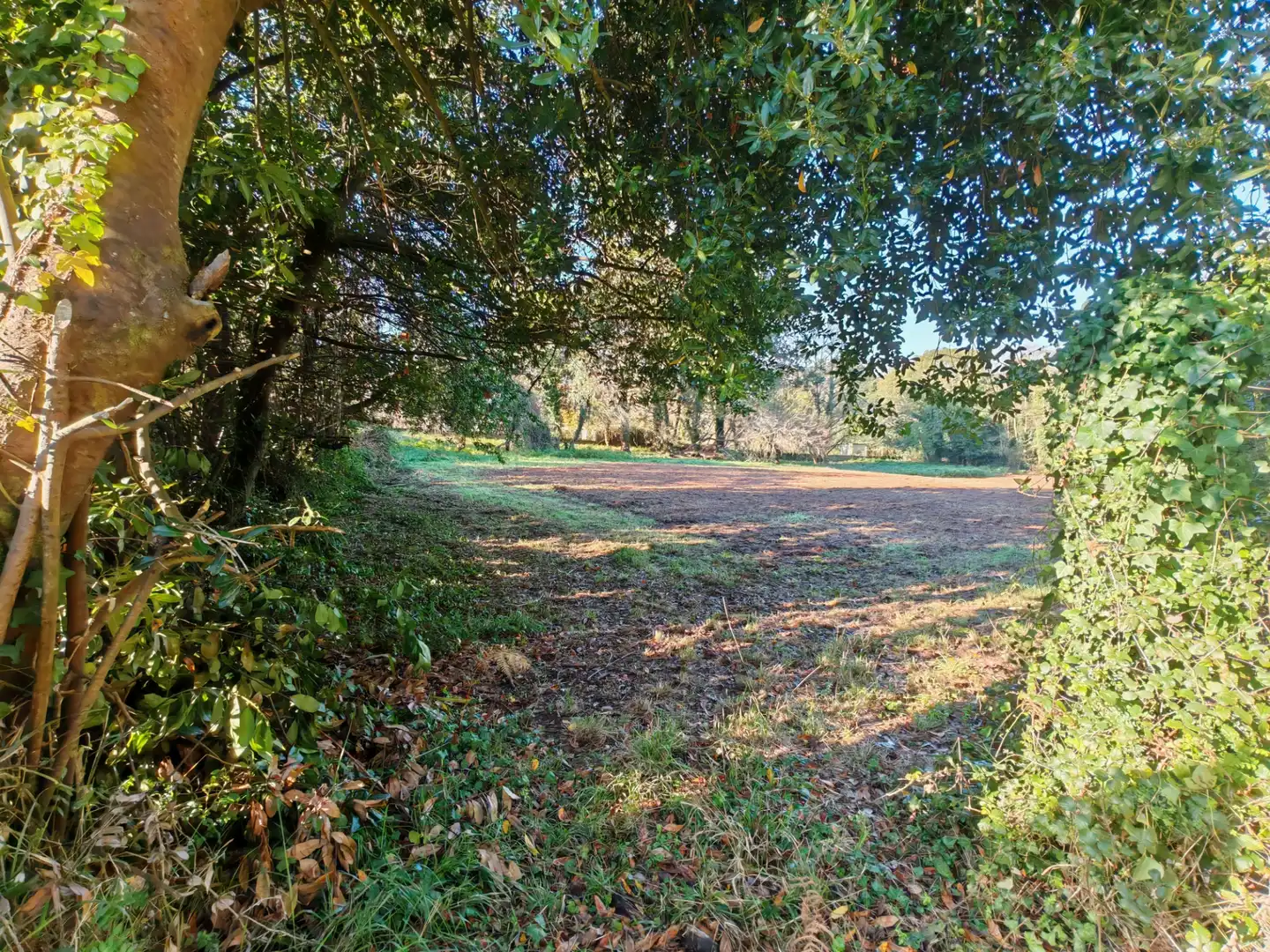 Land for sale in Sada (A Coruña)