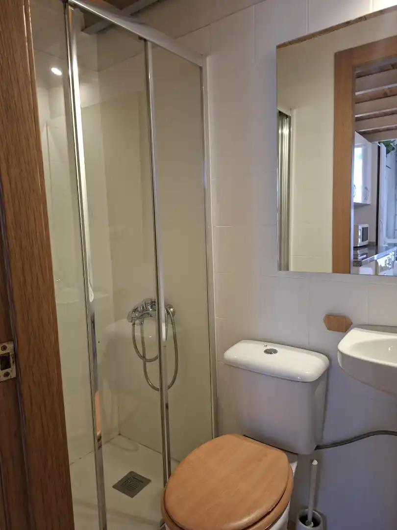 Bany de Apartament de lloguer en Centro