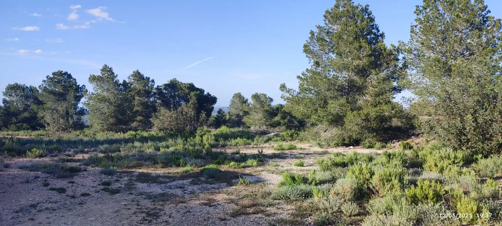Rural land for sale in Urbanització Blasques 23 10, imagen 17