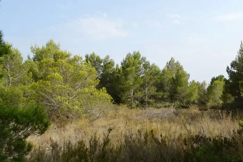 Residencial en venta en L'Ametlla de Mar 