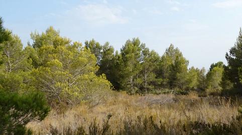 Foto 4 de Residencial en venda a Camí de Ca la Llisses, 16, Sant Jordi d'Alfama, L'Ametlla de Mar