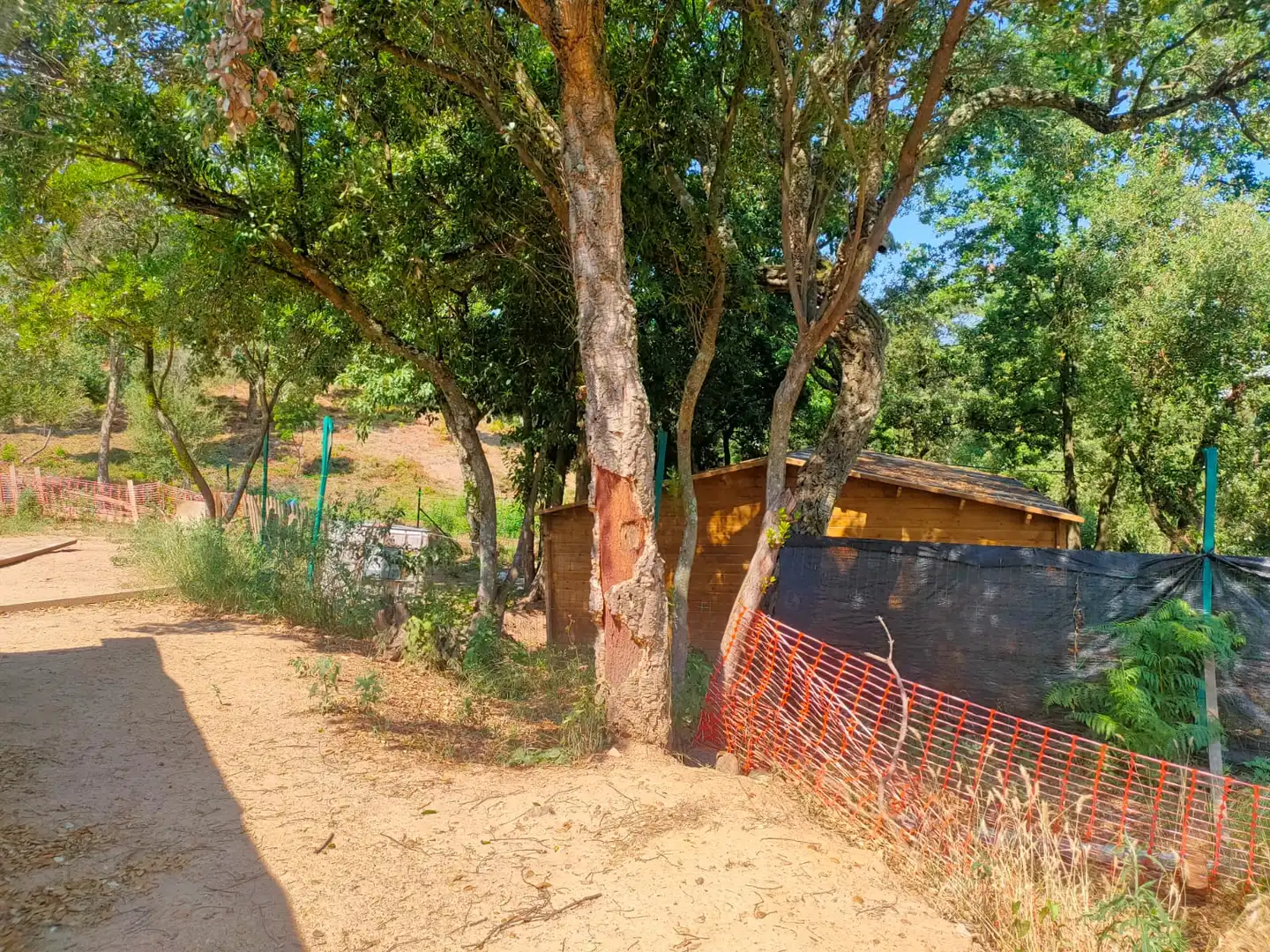 Residential land for sale in Carrer Espliego, imagen 11
