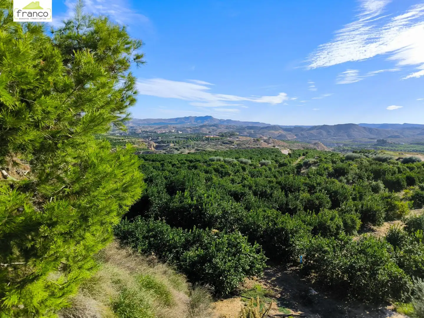 Terreno rustico in vendita a Campo de Murcia, imagen 5