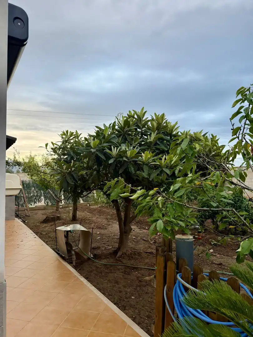 Maison rustique avec piscine à vendre à Sueca ciudad, imagen 67