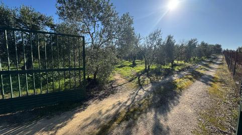 Photo 3 of Residential for sale in Morón de la Frontera, Sevilla