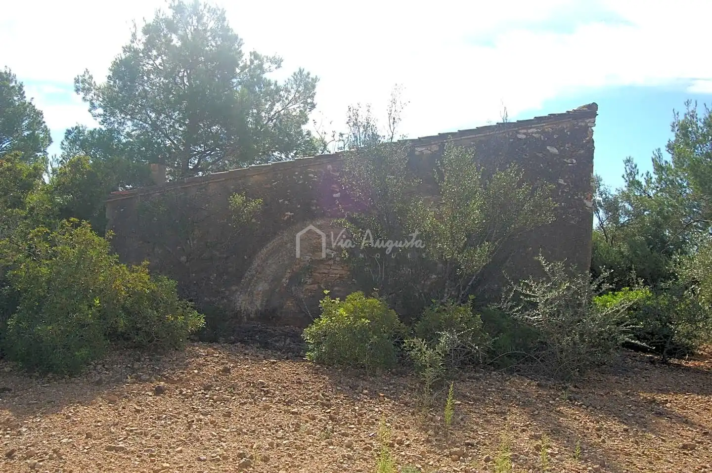 Terreny rústic en venda a Partida La Bassa Fornos