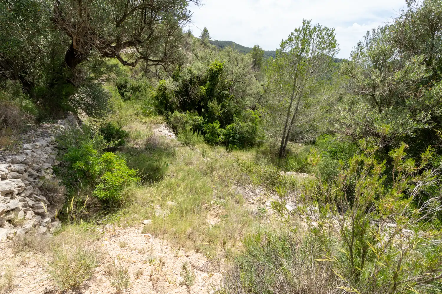 Terrain rustique à vendre à Camí dels Corrals de la Riba 9, imagen 7
