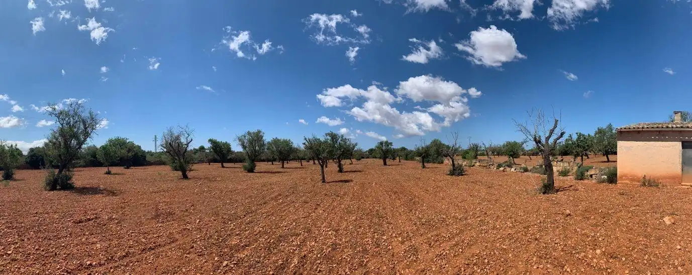 Terreno rustico in vendita a Llucmajor pueblo, imagen 8