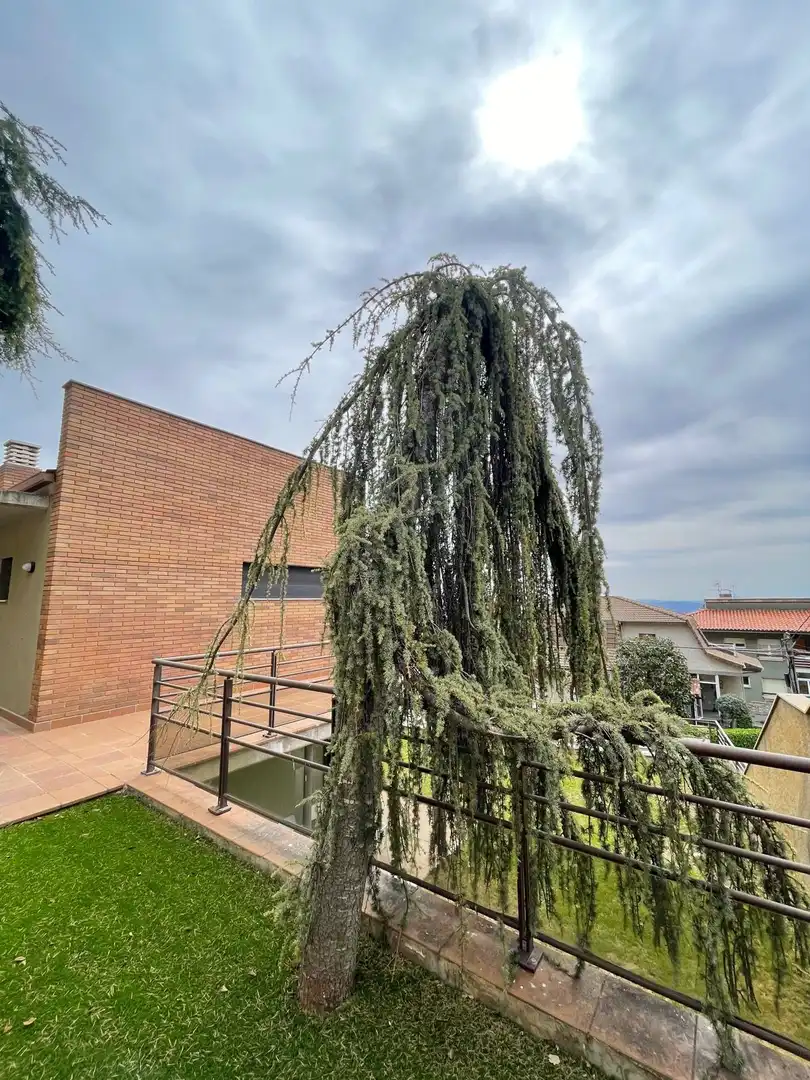 Detached house for sale in Berga, imagen 55