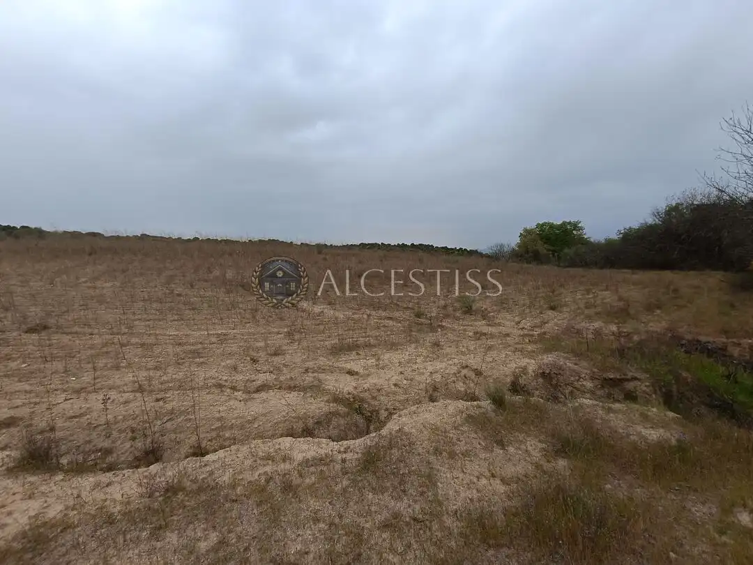 Terreno rústico en venta en Aldea del Fresno, imagen 9