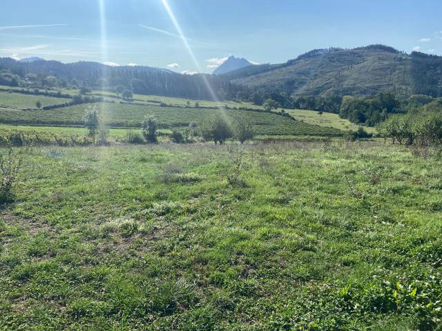 Terreno residencial en Venta en Barrio Gaztelua en Abadiño