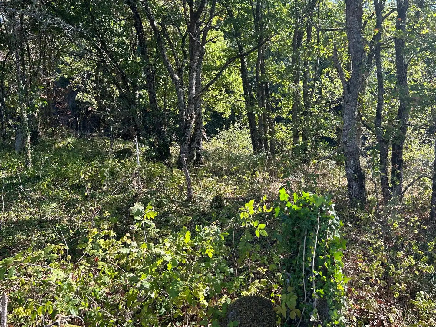 Maison rustique à vendre à Lugar, imagen 12