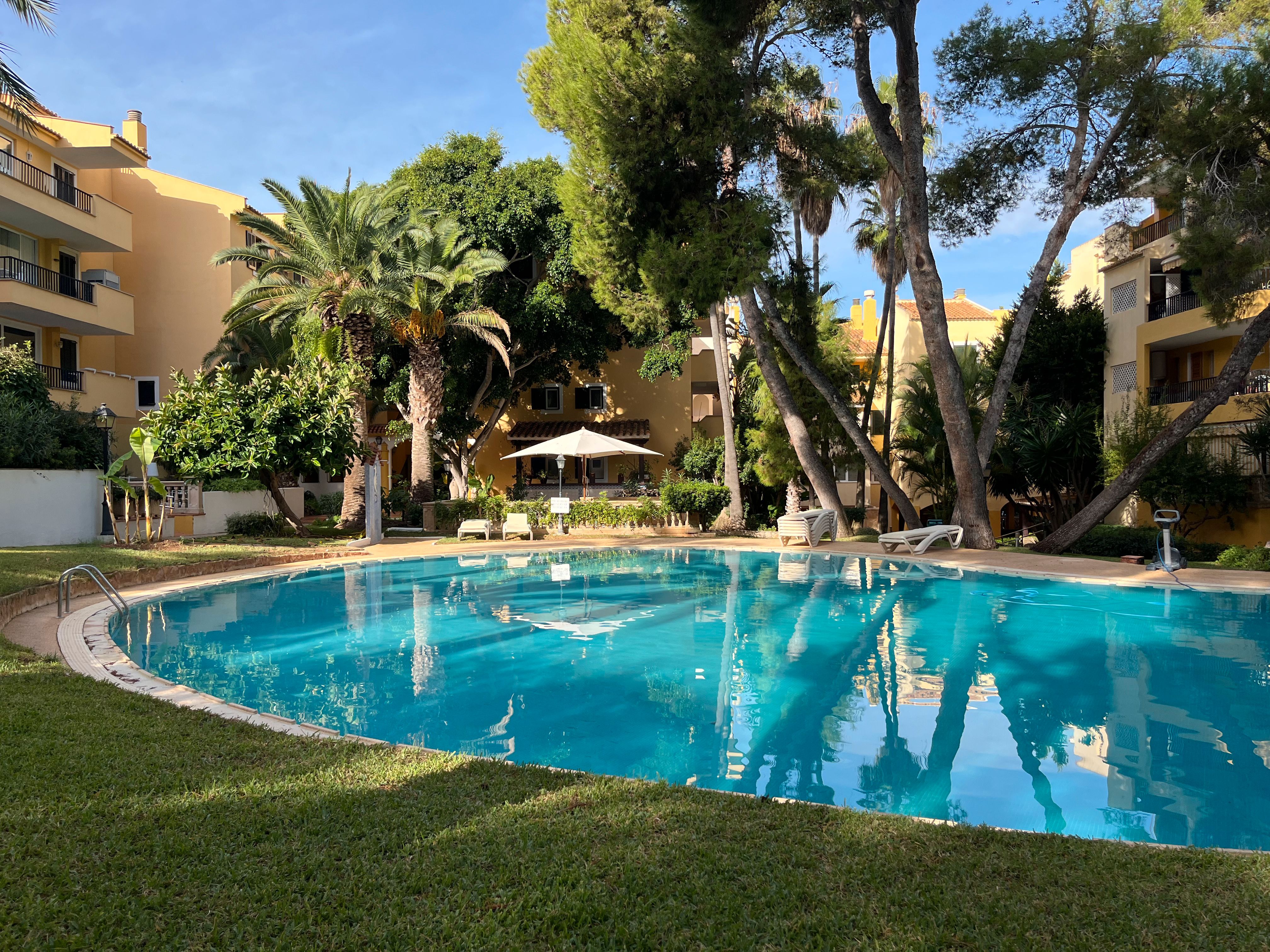 Piscina de Àtic en venda en Calvià amb Aire condicionat i Piscina comunitària
