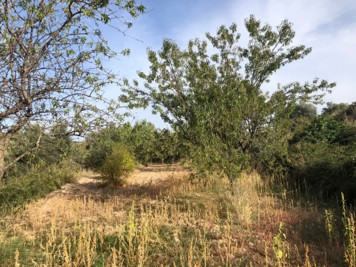 Finca rústica en venda en Valderrobres