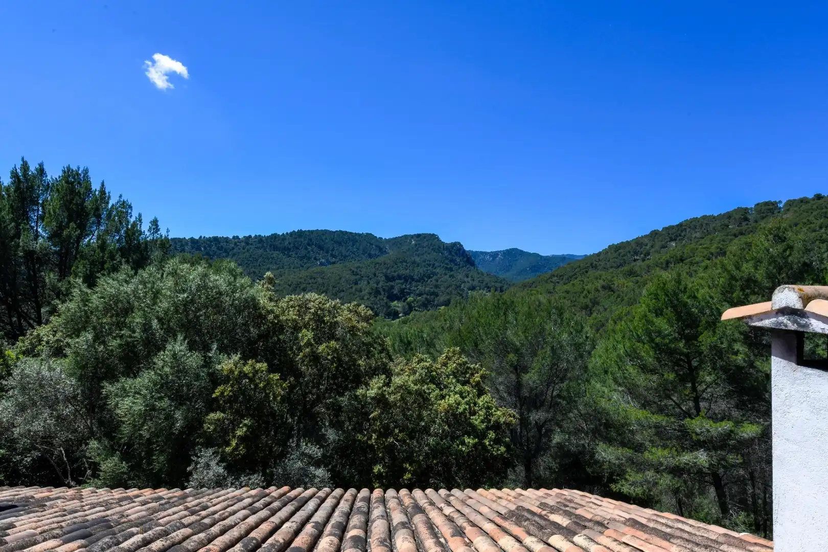 Vista exterior de Casa o chalet en venta en  Palma de Mallorca con Aire acondicionado, Calefacción y Jardín privado