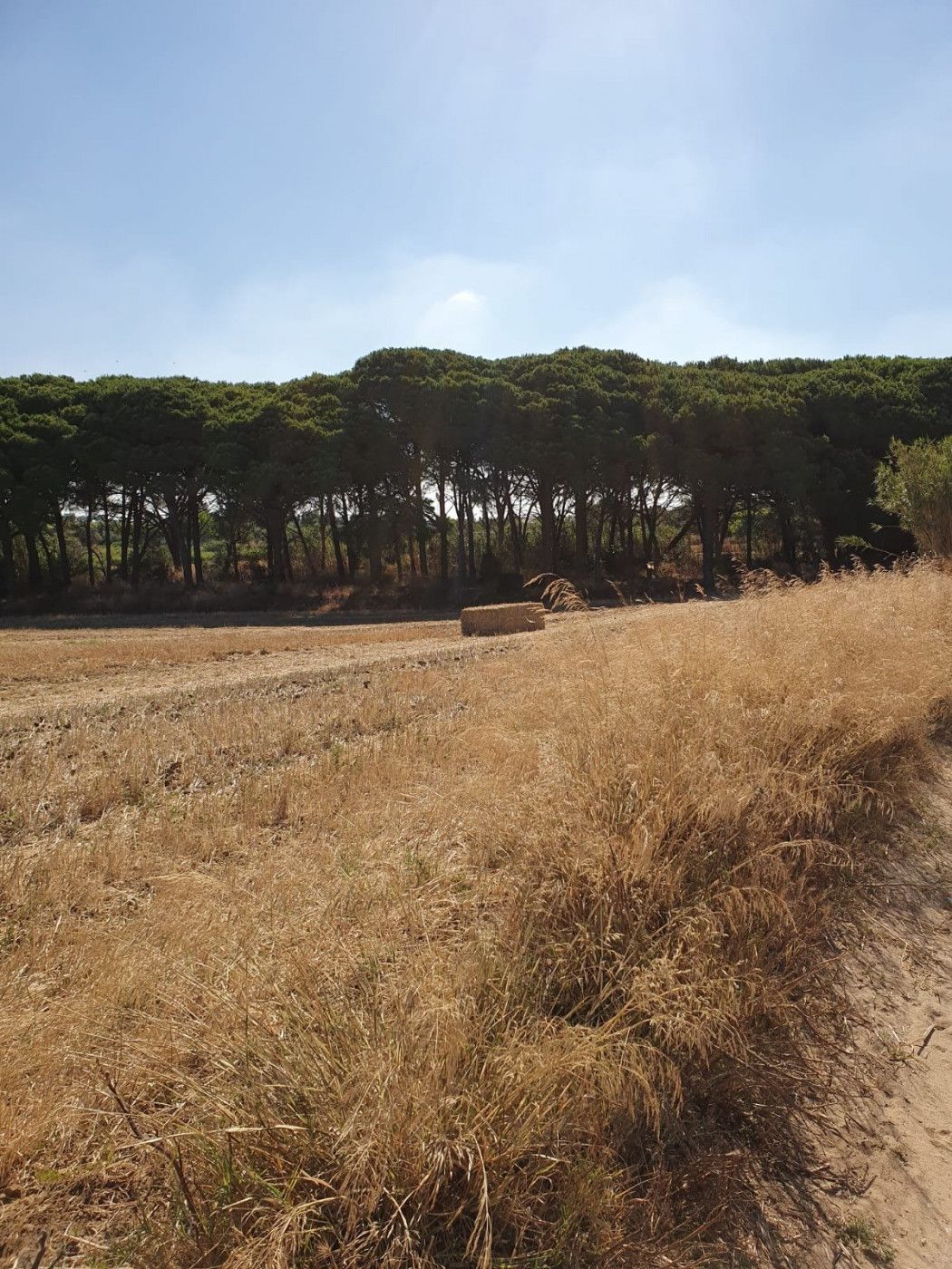 Country house for sale in Pelagatos - Pago del Humo