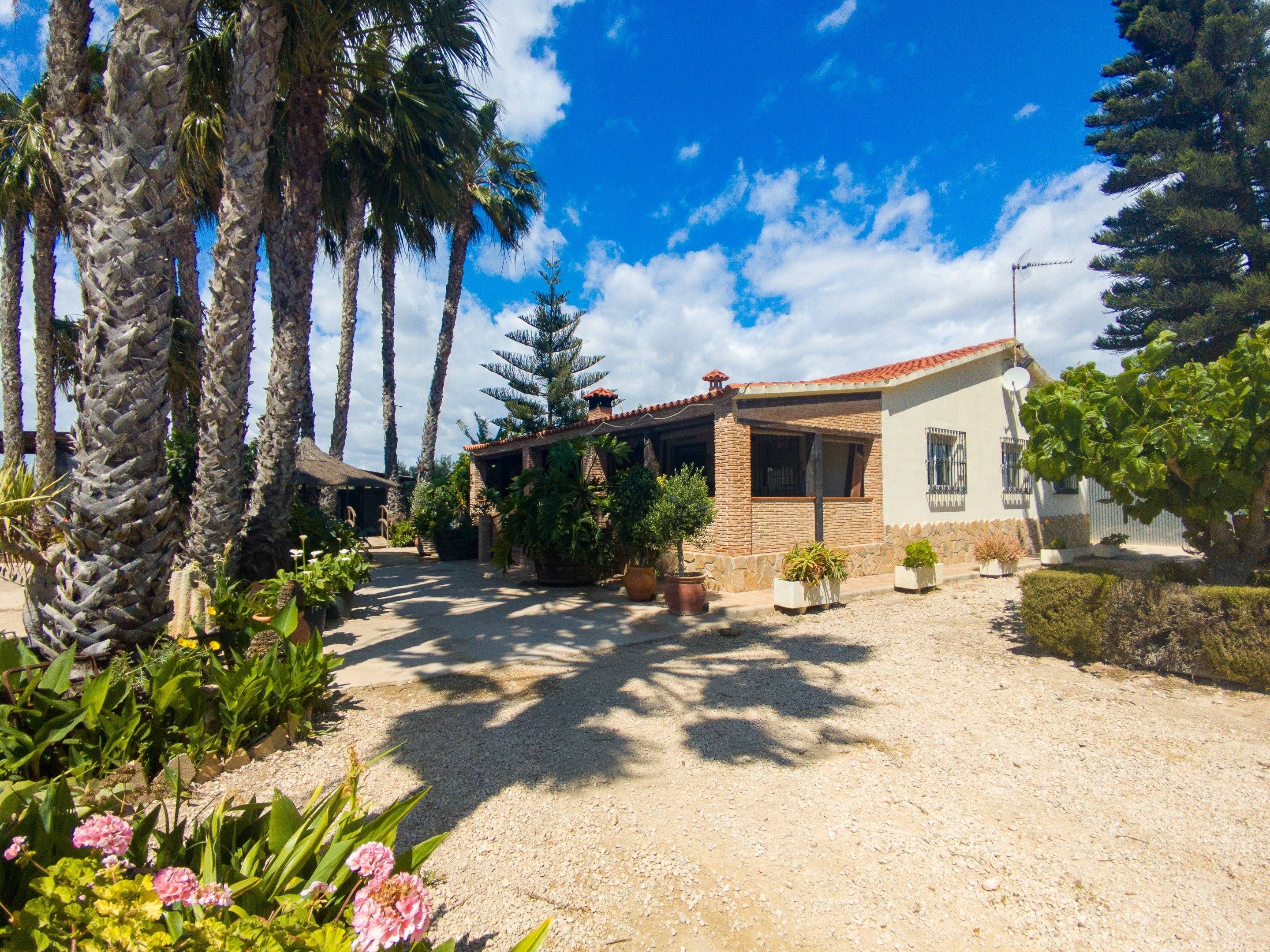 Vista exterior de Casa o xalet en venda en Elche / Elx amb Jardí privat, Terrassa i Traster