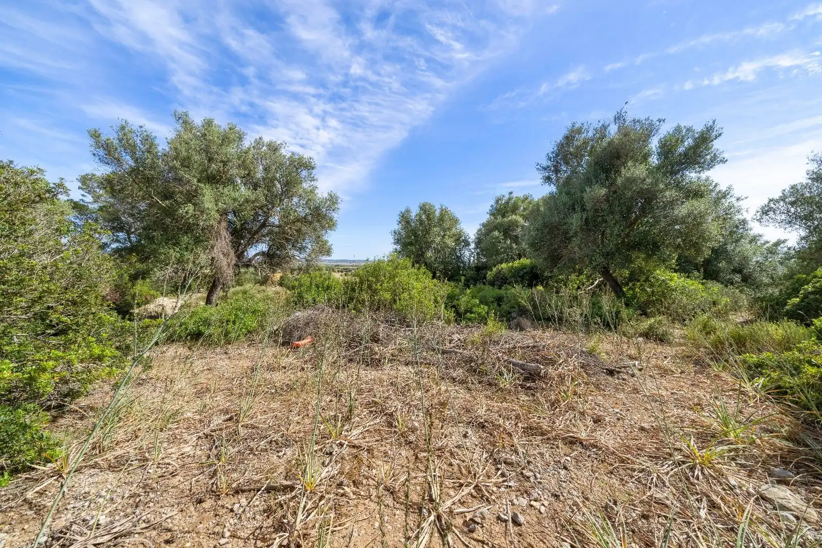 Terreny residencial en venda a Ciutat d'Alcúdia, imagen 10