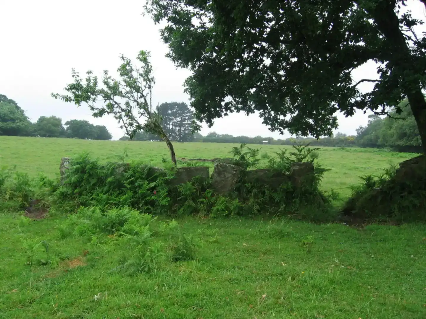 Terreno en venta en Abadín