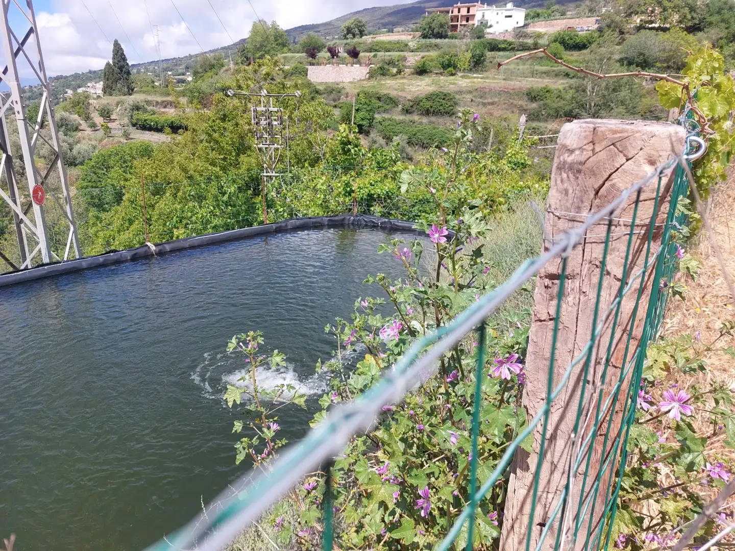Swimming pool of Land for sale in Pórtugos