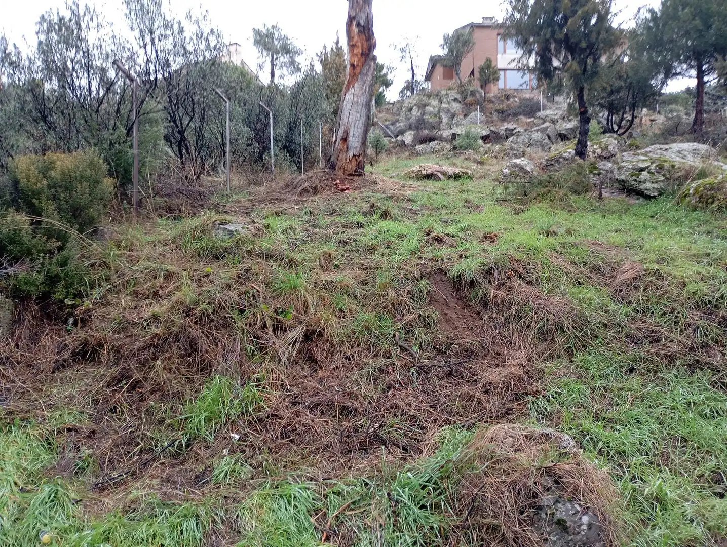 Terreni e lotti in vendita a Robledo de Chavela, imagen 35