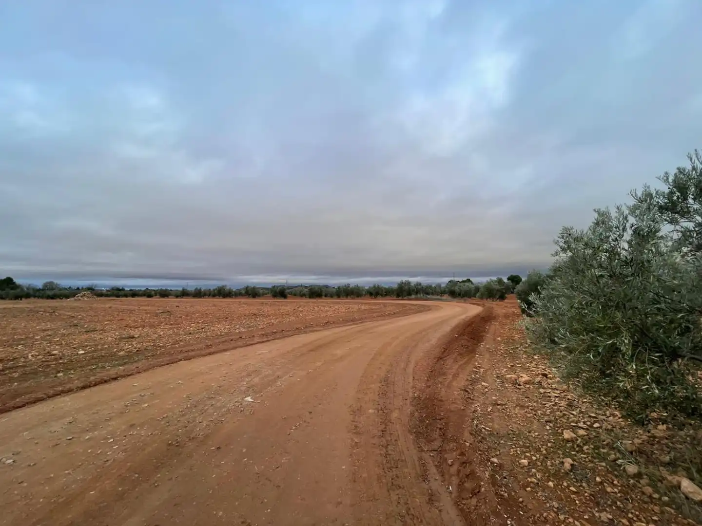 Lands and plots for sale in Valdepeñas, imagen 11