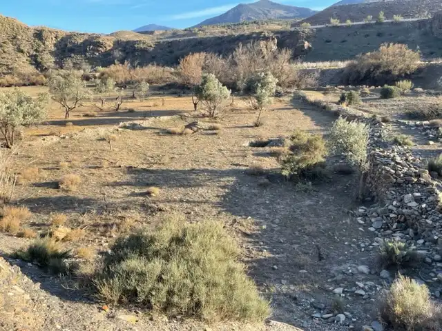 Terreno en venta en Abla