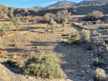 Terreno rustico in vendita a Abla