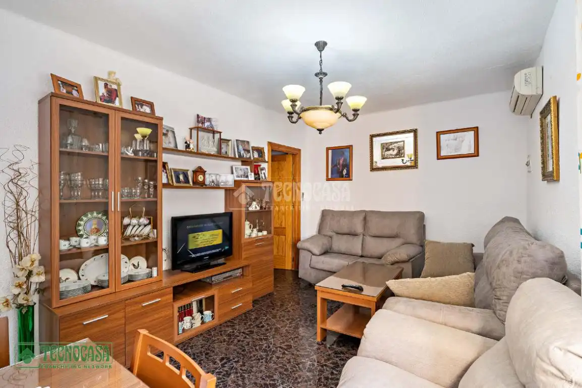 Living room of Detached homes for sale in El Ejido