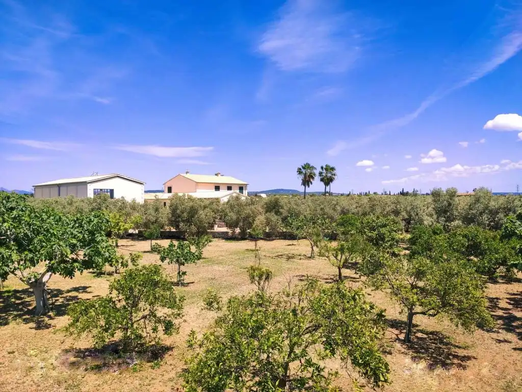 Finca rústica en venda en Marratxí amb Aire condicionat, Calefacció i Terrassa