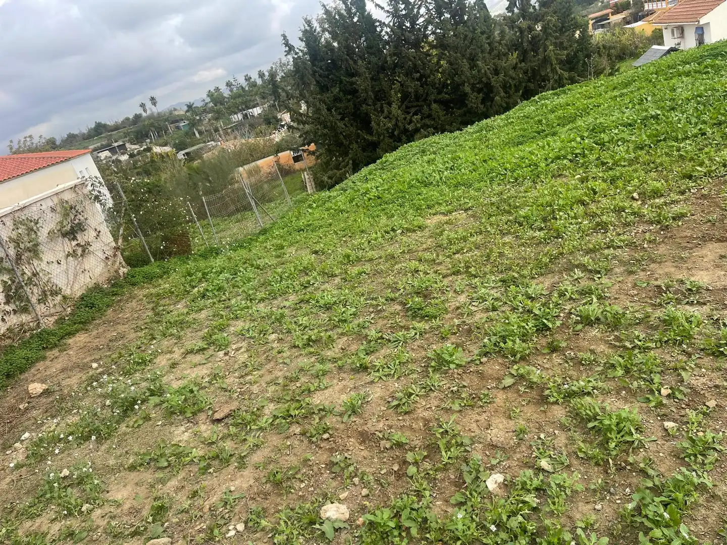 Terreno rustico in vendita a El Romeral - Peñón de Zapata, imagen 9