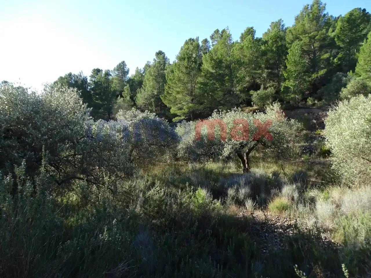 Terrain résidentiel à vendre à Xerta, imagen 15