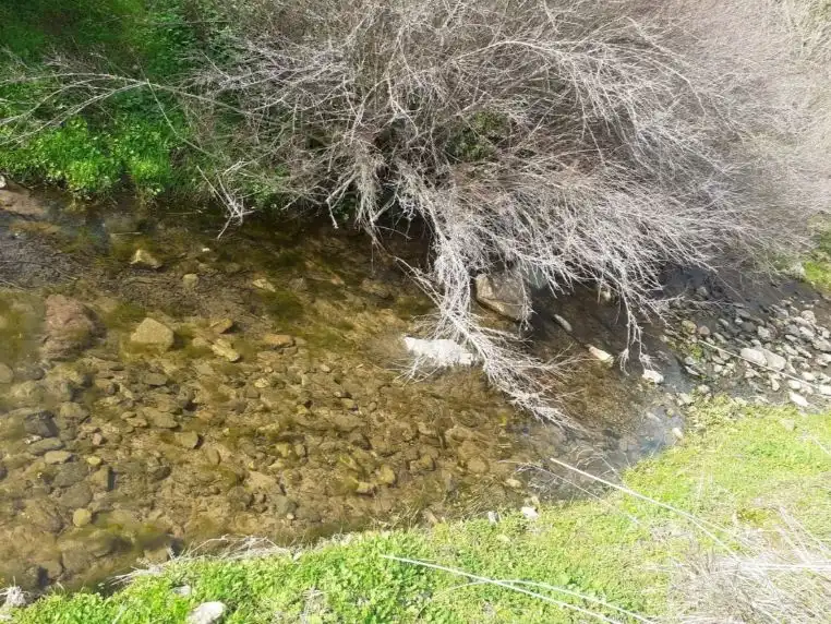 Rustikales Grundstück zum Verkauf in Lugar Urbanizacion Doña Manuela 6B, imagen 47