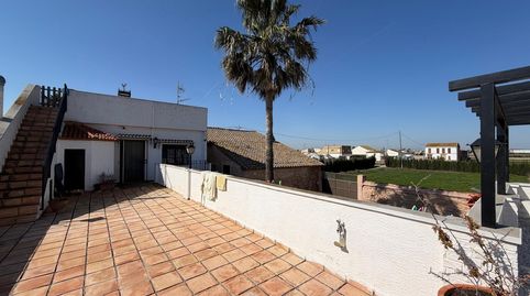 Foto 4 de Finca rústica en venta en Meliana, Valencia